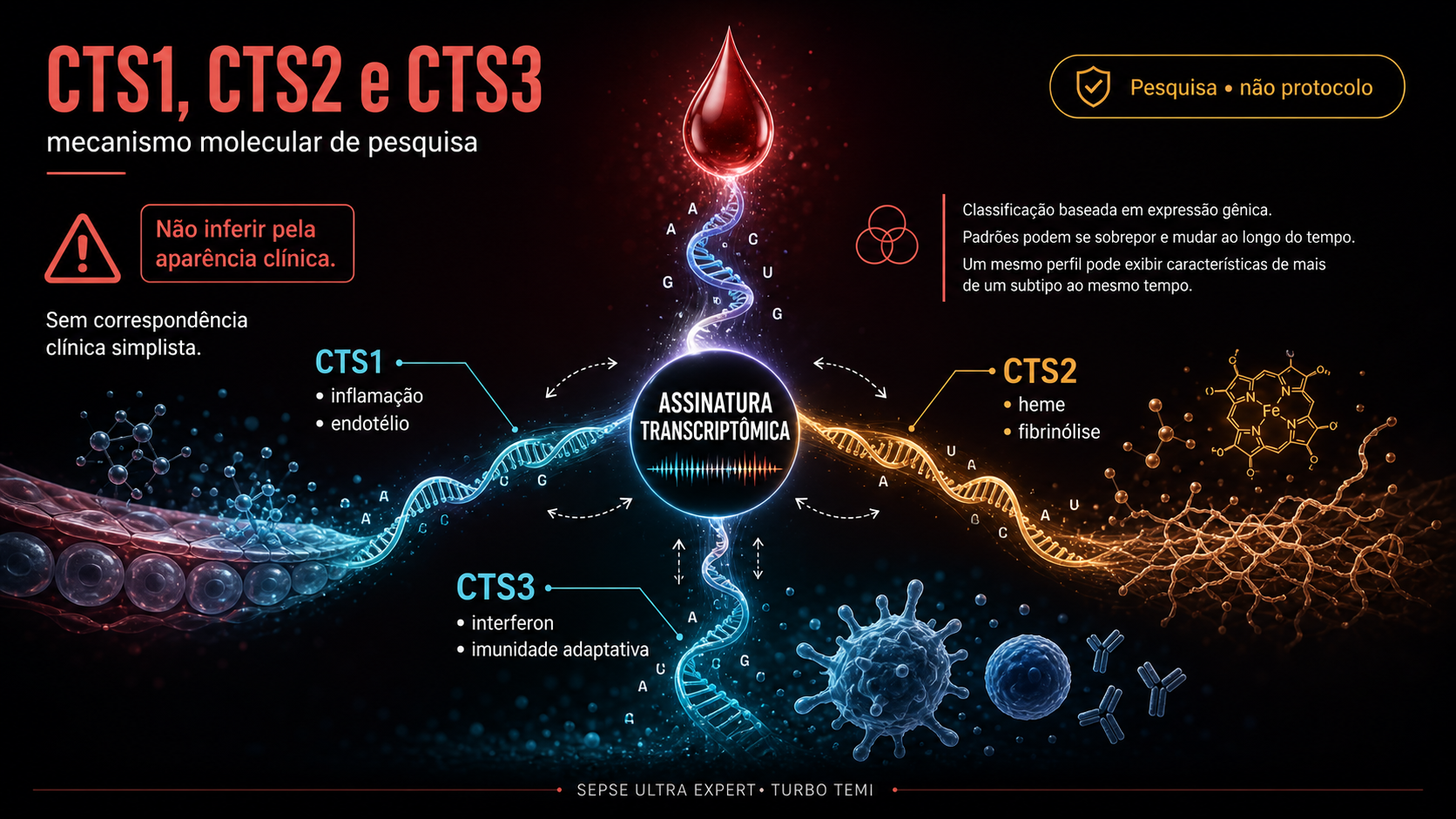 Assinaturas transcriptômicas CTS1, CTS2 e CTS3 e suas vias biológicas predominantes