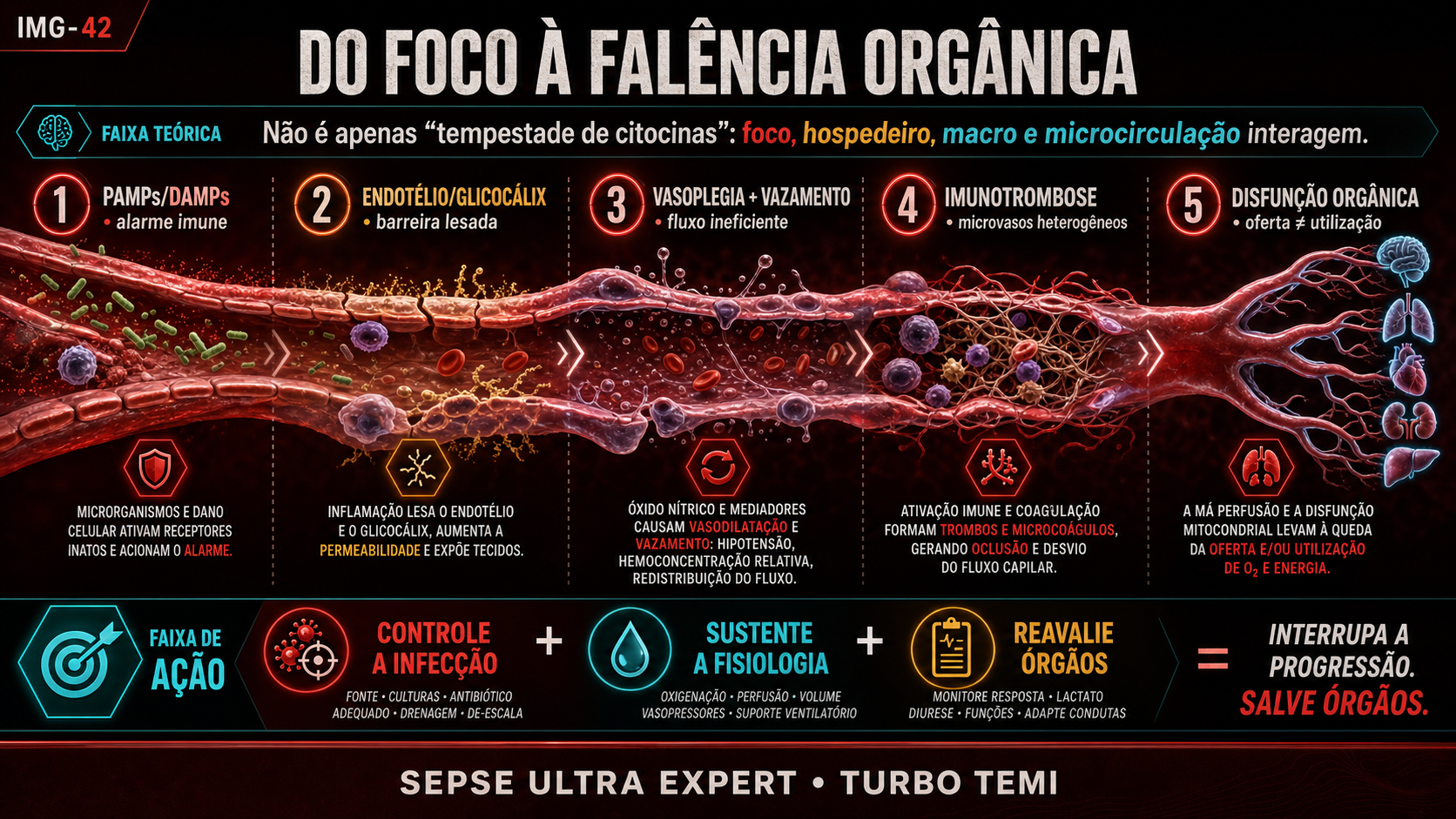 Cascata fisiopatológica da ativação imune à lesão endotelial, vasoplegia, imunotrombose e disfunção orgânica