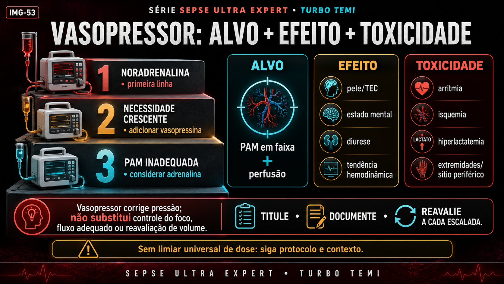 Escada vasopressora com alvo, efeitos sobre perfusão e sinais de toxicidade